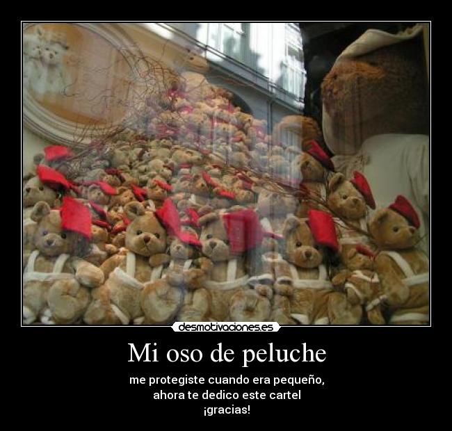 Mi oso de peluche - 