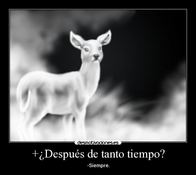 +¿Después de tanto tiempo? - -Siempre.