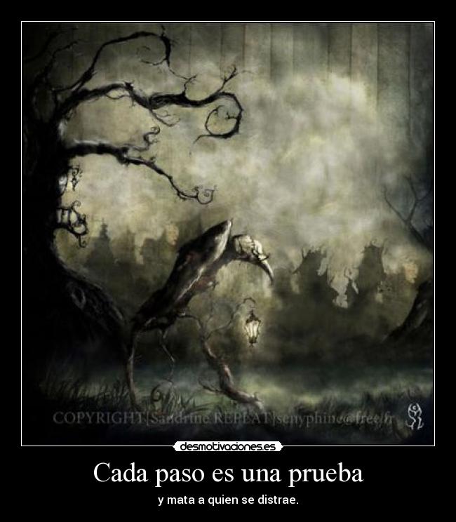 Cada paso es una prueba -