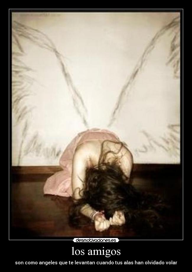 los amigos -