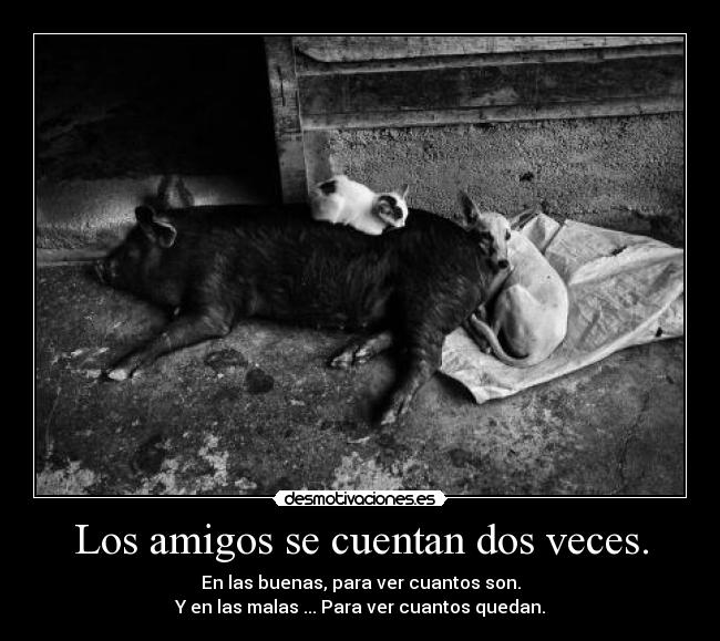 Los amigos se cuentan dos veces. -
