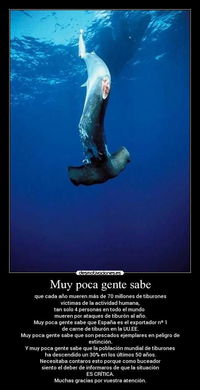 carteles muy poca gente sabe cavediver desmotivaciones