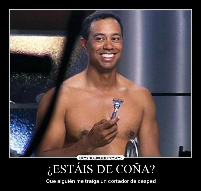 ¿ESTÁIS DE COÑA? - 