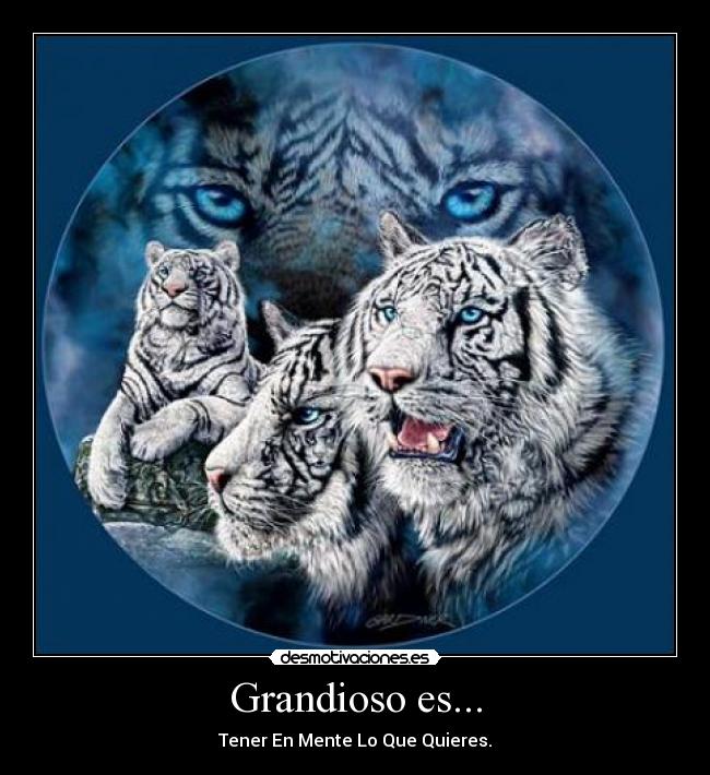 Grandioso es... - Tener En Mente Lo Que Quieres.