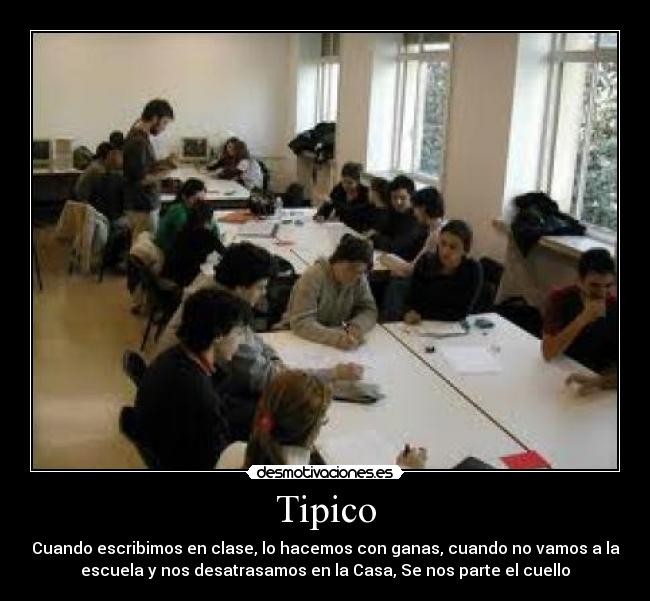 Tipico -