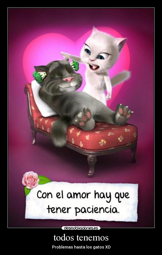 todos tenemos - Problemas hasta los gatos XD