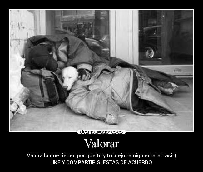 carteles valora desmotivaciones