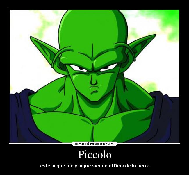 Piccolo - 