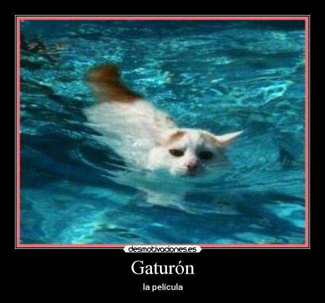 Gaturón - la película