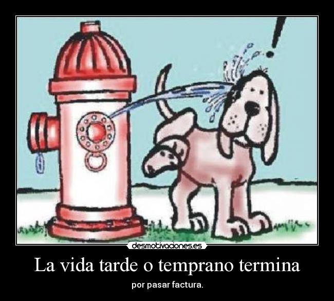 La vida tarde o temprano termina - por pasar factura.