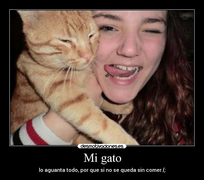 Mi gato - lo aguanta todo, por que si no se queda sin comer.(: