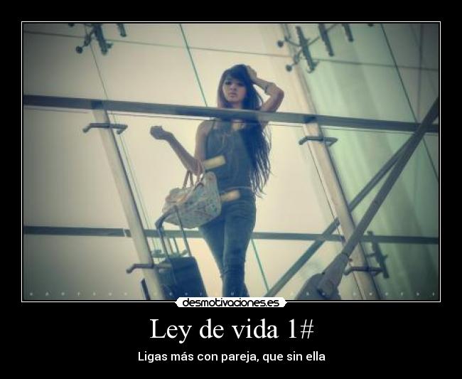 Ley de vida 1# - 
