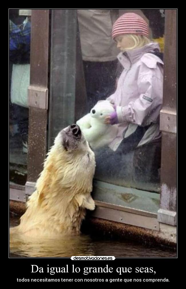Da igual lo grande que seas, - todos necesitamos tener con nosotros a gente que nos comprenda.