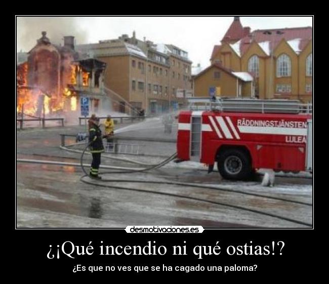 ¿¡Qué incendio ni qué ostias!? - ¿Es que no ves que se ha cagado una paloma?