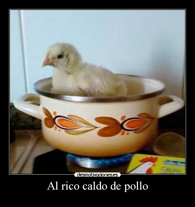 Al rico caldo de pollo - 