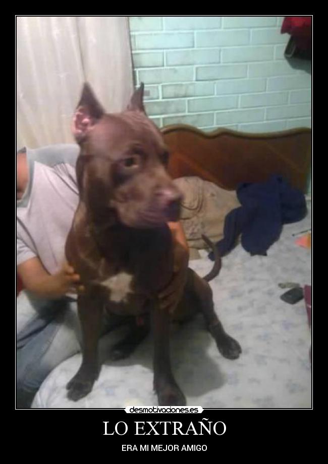 carteles veneno desmotivaciones