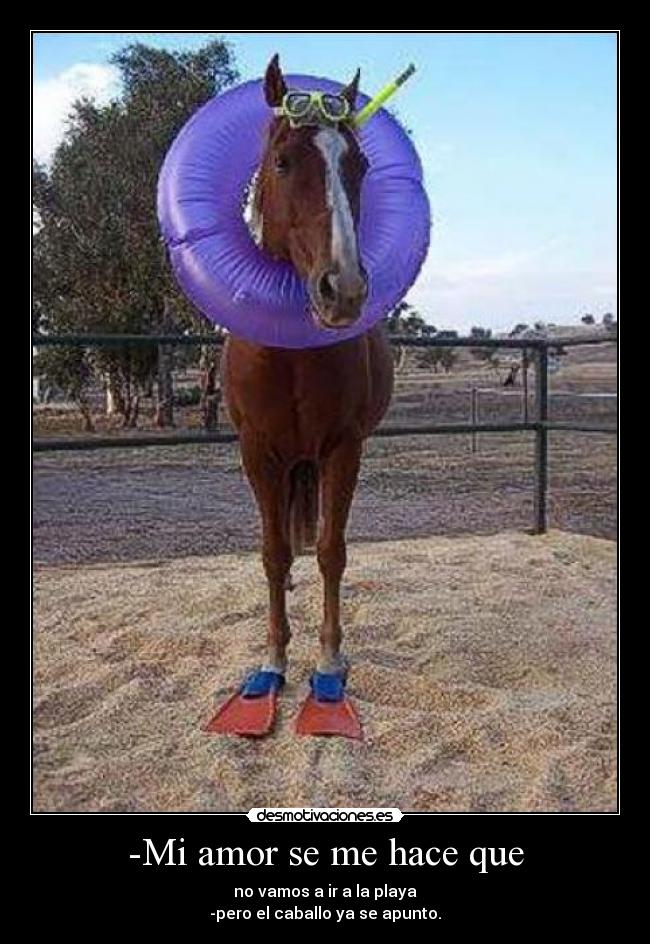 -Mi amor se me hace que - no vamos a ir a la playa
-pero el caballo ya se apunto.