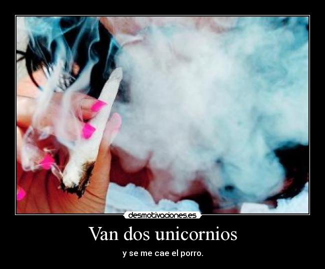 Van dos unicornios - 