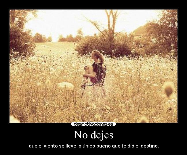 No dejes - 