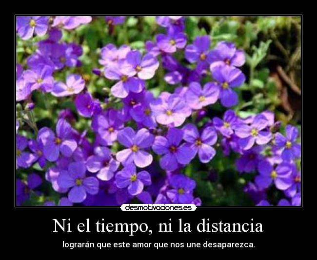 carteles distancia perla desmotivaciones