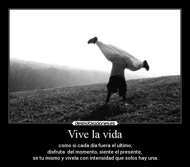 Vive la vida - 