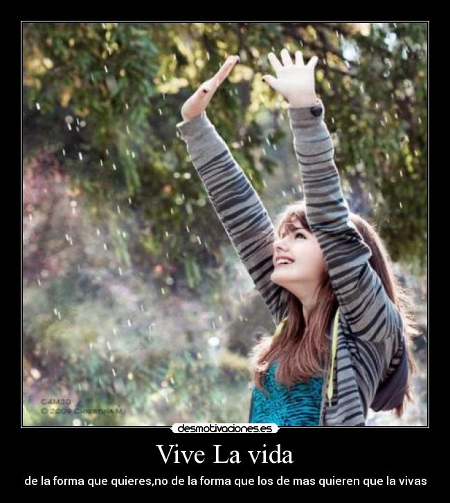Vive La vida -