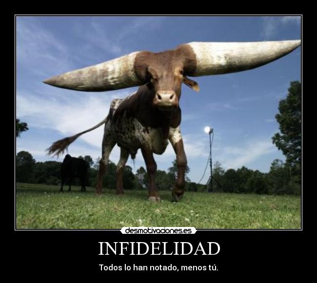 INFIDELIDAD -
