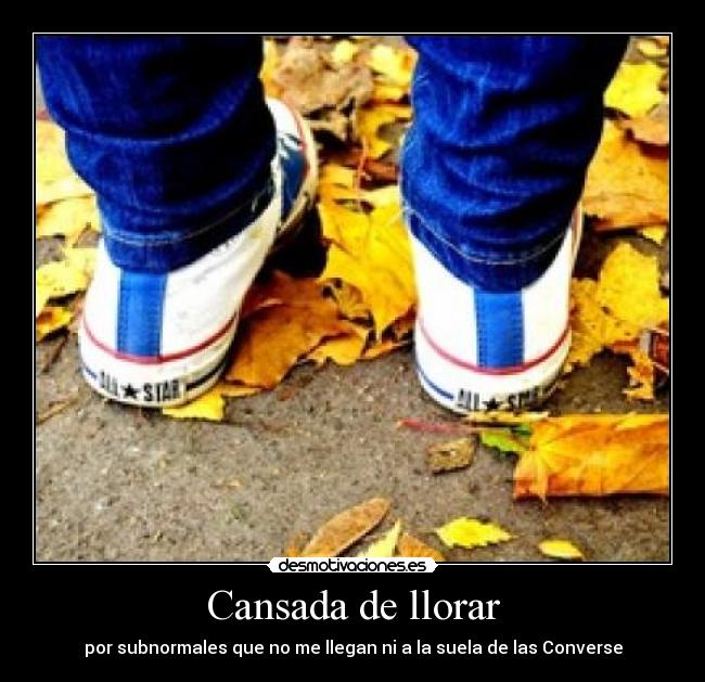 Cansada de llorar - por subnormales que no me llegan ni a la suela de las Converse