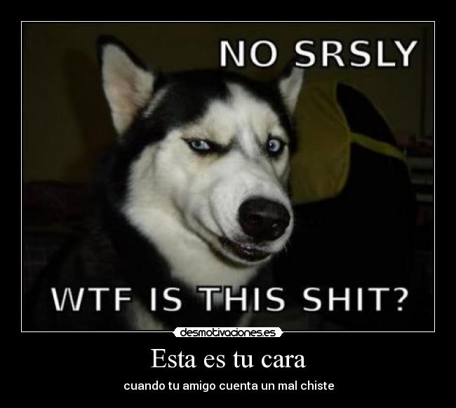 carteles perro mal chiste wtf desmotivaciones