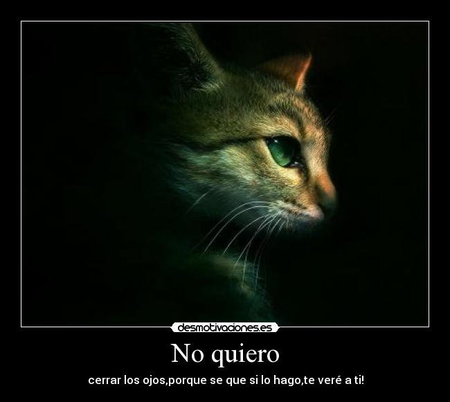 No quiero - 