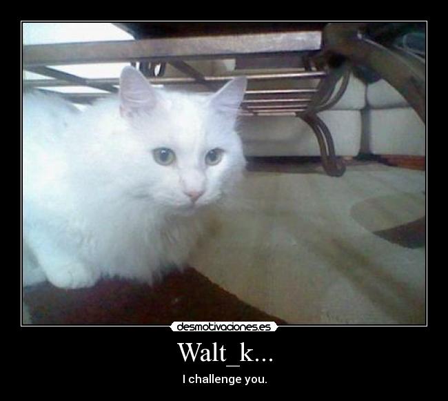 Walt_k... - I challenge you.