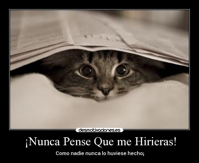 ¡Nunca Pense Que me Hirieras! -