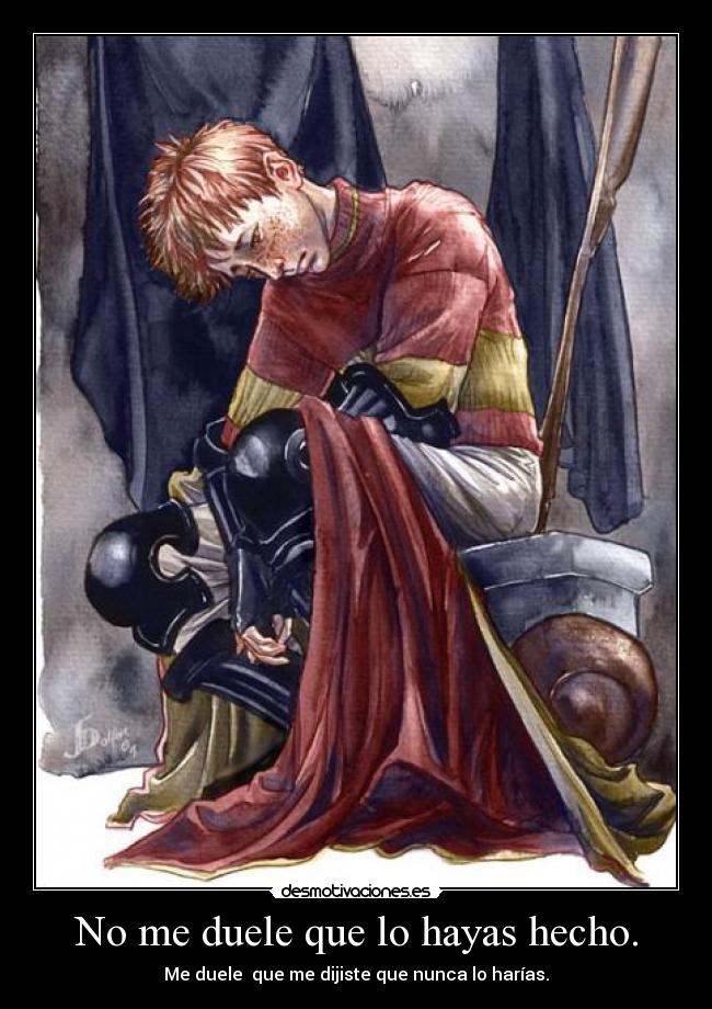 No me duele que lo hayas hecho. - 