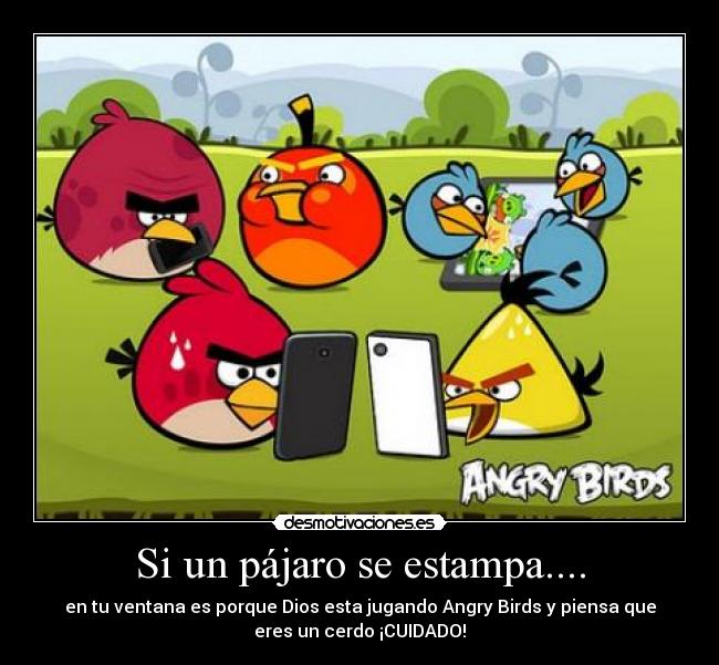 Si un pájaro se estampa.... -