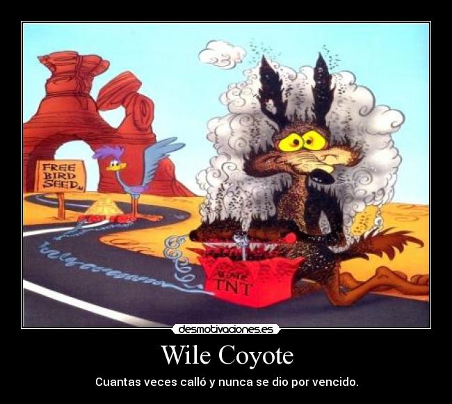 carteles coyote desmotivaciones