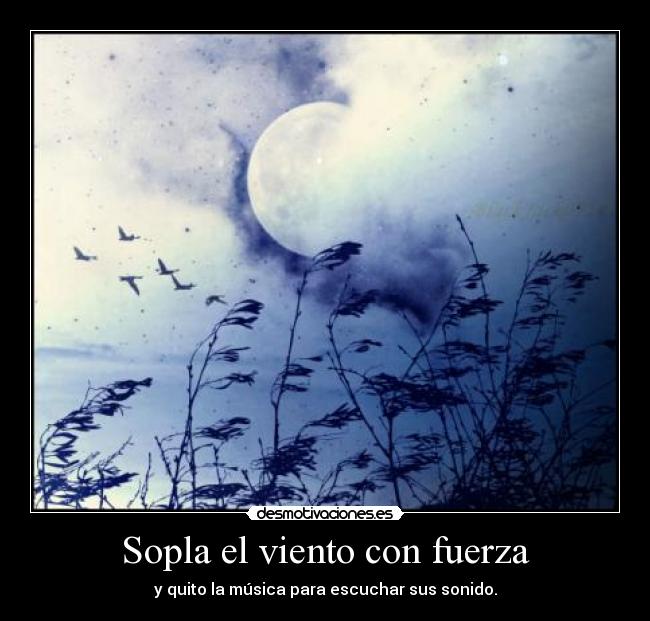 Sopla el viento con fuerza - 