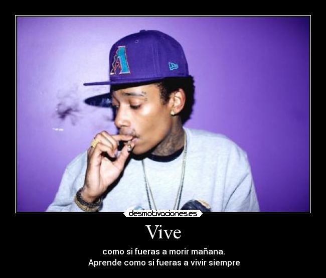 Vive -