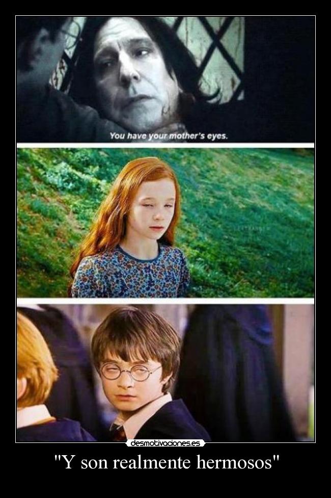 Y son realmente hermosos - 