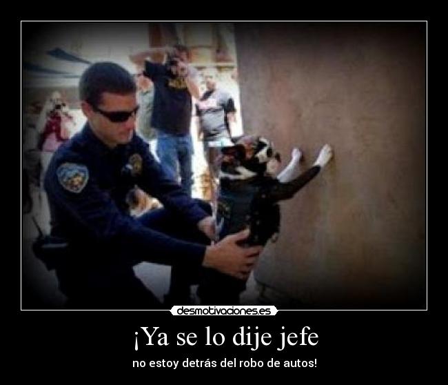 ¡Ya se lo dije jefe - 