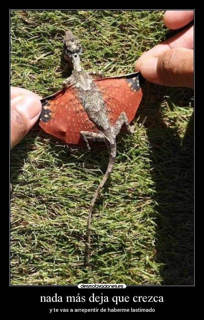 nada más deja que crezca -