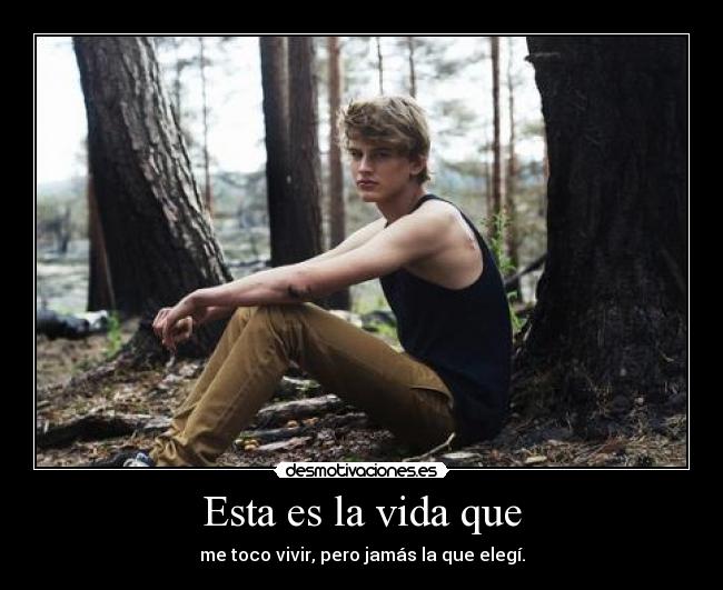 carteles vida harta todo ariadnap desmotivaciones