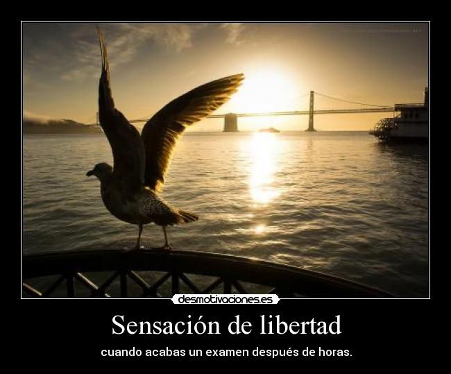 Sensación de libertad - cuando acabas un examen después de horas.