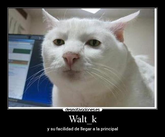 Walt_k - 