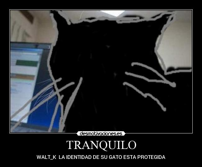 TRANQUILO - WALT_K LA IDENTIDAD DE SU GATO ESTA PROTEGIDA