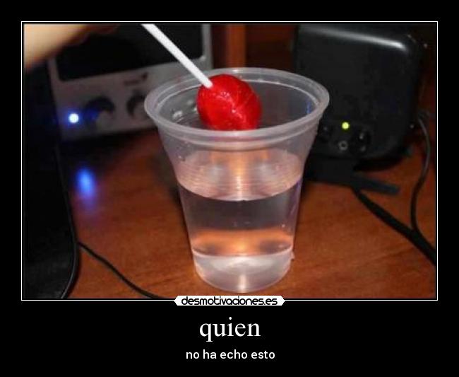 quien - no ha echo esto