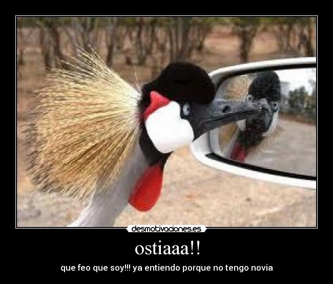 ostiaaa!! - que feo que soy!!! ya entiendo porque no tengo novia