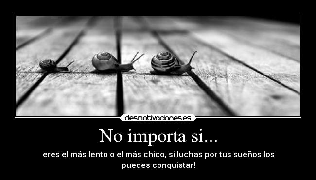 No importa si... -