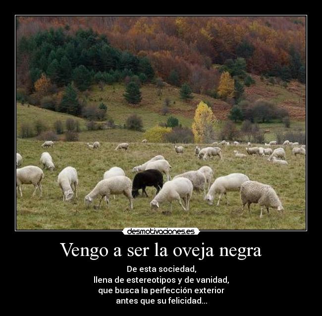 Vengo a ser la oveja negra - 