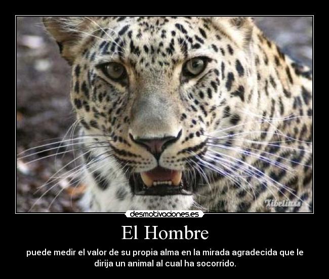 El Hombre - 