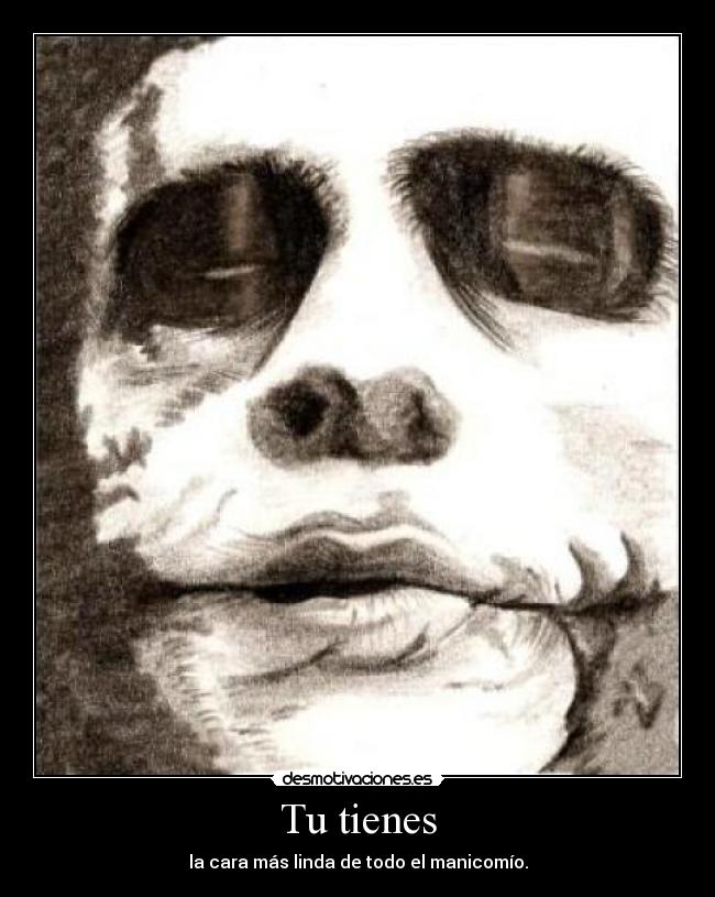 Tu tienes - la cara más linda de todo el manicomío.